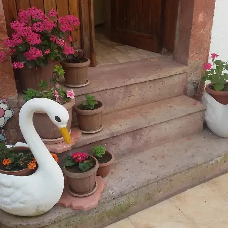 Bonjour Ayvalik